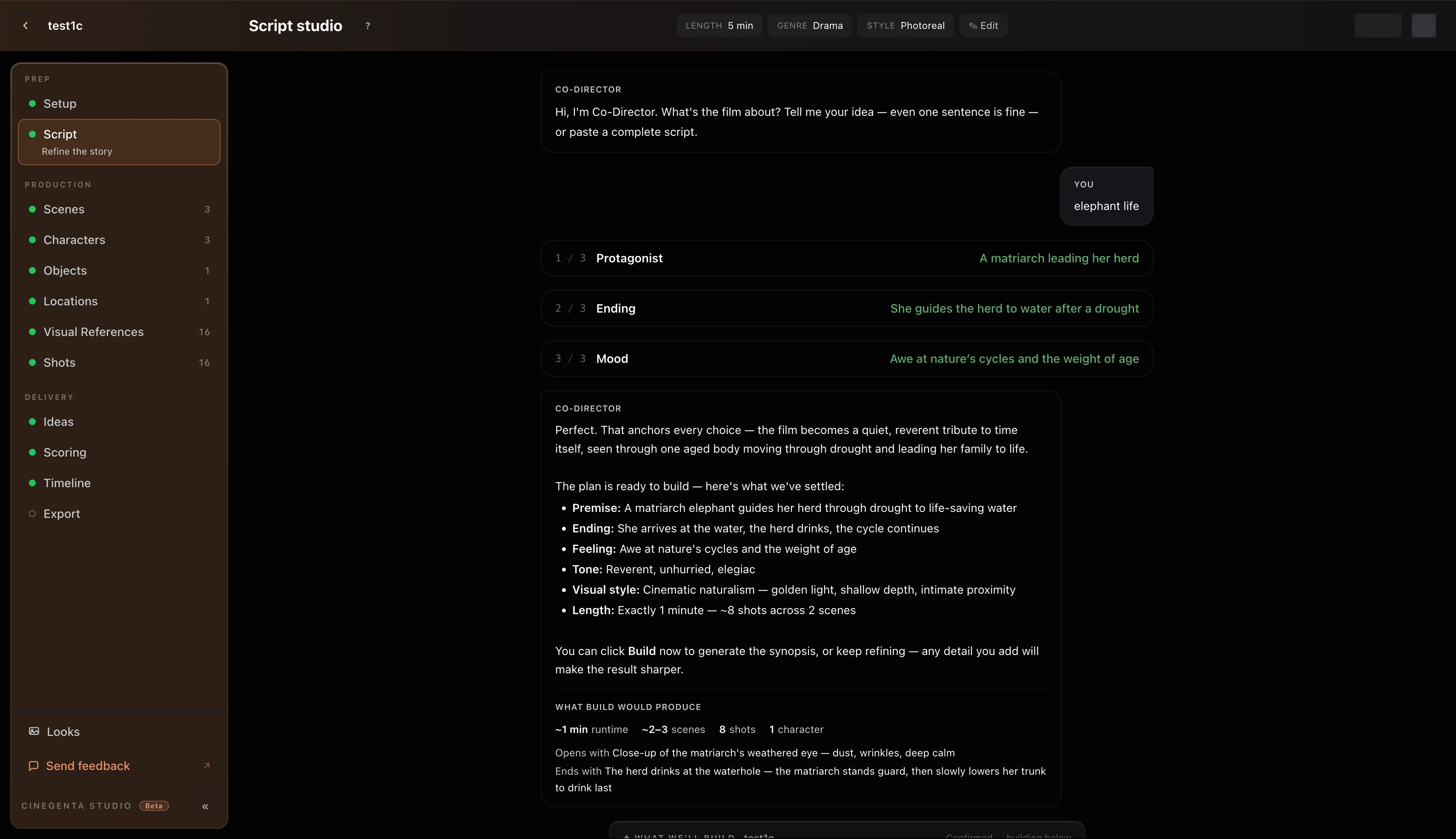Co-Director chat — paste a script and it plans the whole film